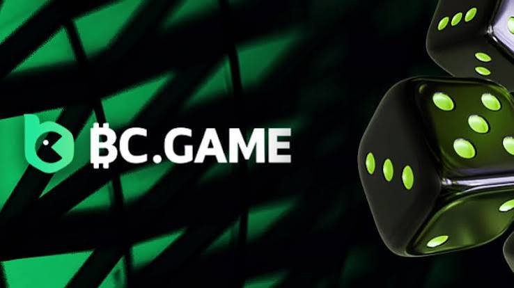 Experience the Thrill of Gaming at BC.Game Casino